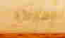 item-135491975=6