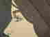 item-136464743=3