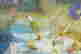 item-136464764=3