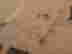 item-136475634=10