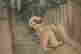 item-136475634=12