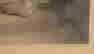 item-136475634=13