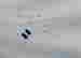 item-136655344=4