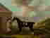 item-137004493=2