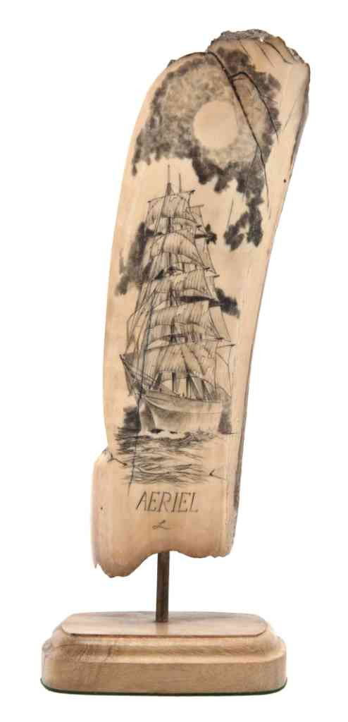 A Scrimshaw Fossilized Walrus Tusk, John Lee, Heig: A Scrimshaw Fossilized Walrus Tusk, John Lee, depicting the clipper ship Aeriel, set on a wood base. Height 9 inches. Property from the Estate of John Haight, Arlington Heights, Illinois