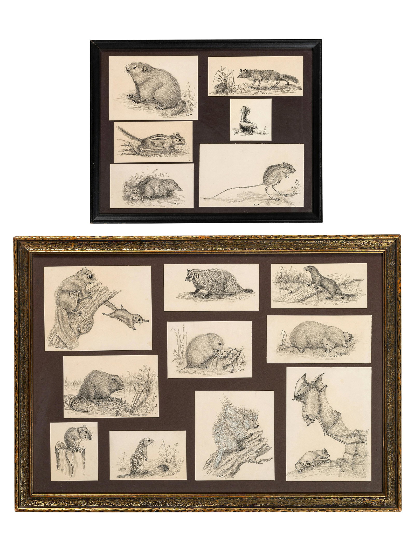 [ILLUSTRATION ART]. WRIGHT, Earl G., artist. A group of 16 sketches of wildlife.: [ILLUSTRATION ART]. WRIGHT, Earl G., artist. A group of 16 sketches of wildlife. Smallest 3 3/8 x 3 1/2 in., largest 7 x 9 1/4 in.; framed together in 2 frames (not examined out of frames). Each signe