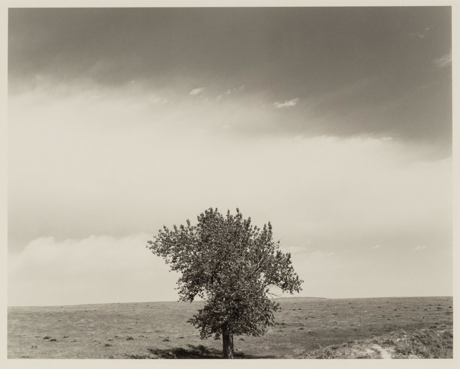 Robert Adams (born 1937) Pawnee National Grassland, Colorado, 1984: Robert Adams (born 1937) Pawnee National Grassland, Colorado, 1984 Gelatin silver print, printed 1992, signed, titled, dated in pencil and copyright credit stamp on the verso. image: 9 x