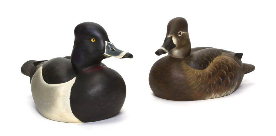 Two Molded and Polychrome Decorated Decoys, Length: Two Molded and Polychrome Decorated Decoys, depicting a Ring-Necked drake and hen. Length 11 3/8 inches.