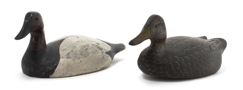 A Carved Wood and Polychrome Decorated Decoy, Leng: A Carved Wood and Polychrome Decorated Decoy, depicting a Canvasback drake with glass eyes together with a black duck hen decoy. Length of first 16 1/2 inches.