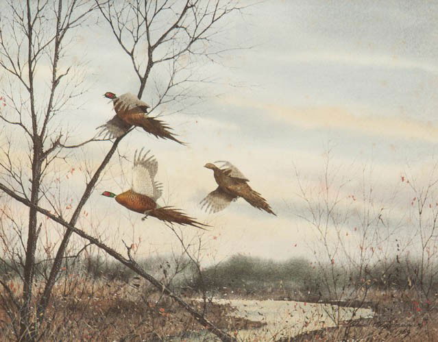 David Hagerbaumer, (American, b. 1921), Pheasants: David Hagerbaumer (American, b. 1921) Pheasants, 1959 watercolor signed David Hagerbaumer and dated (lower right) 15 x 18 1/4 inches.