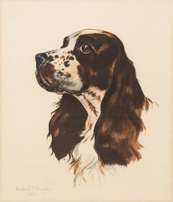 Richard Thompson, , Cocker Spaniel I: Richard Thompson Cocker Spaniel I chromolithograph numbered 420, signed Richard Thompson (lower left) 12 1/2 x 9 1/2 inches.