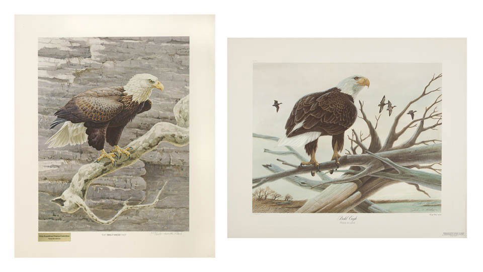 John A. Ruthven, (American, b. 1927), Two Bald Ea: John A. Ruthven (American, b. 1927) Two Bald Eagle Prints signed John A. Ruthven (lower right) Largest: 22 1/4 x 18 1/4 inches.