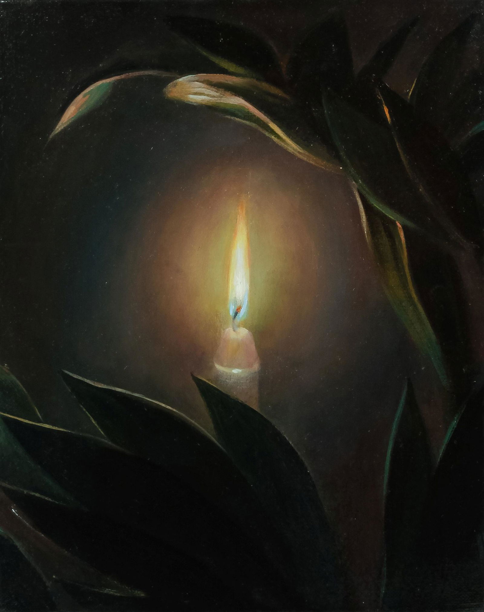TM Davy (American, b. 1980) Candela (Plants Hand), 2013: TM Davy (American, b. 1980) Candela (Plants Hand), 2013 oil on linen 8 x 10 inches. Provenance: The Artist Eleven Rivington, New York The Greenberg Gallery, St. Louis Exhibited: New York, New York, Th