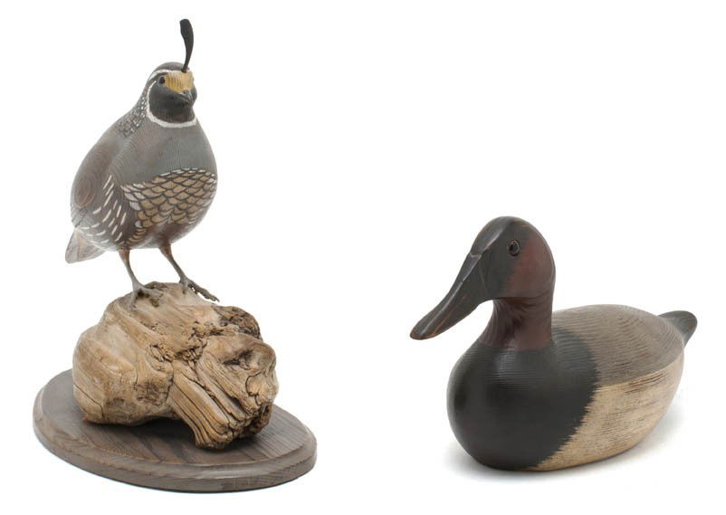 An American Duck Decoy, T.J. Hooker, Length of fir: An American Duck Decoy, T.J. Hooker, modern, depicting a Canvasback, together with a wood model of a Western Quail. Length of first 13 1/2 inches. Property from the Estate of Helen Dean McDonald, Napl