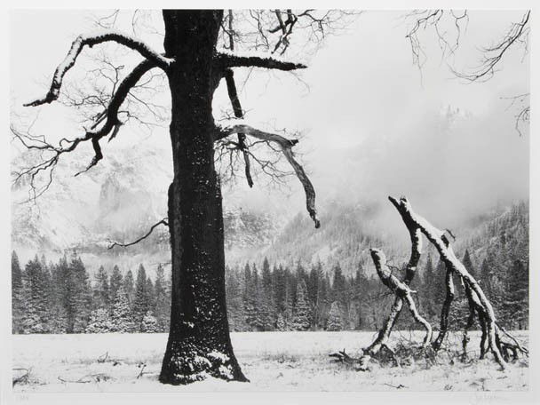 John Sexton, (American, b. 1953), Snowy Landscape: John Sexton (American, b. 1953) Snowy Landscape with Trees, 1984 and Lake Scene with Rock, 1989 (a pair of works) gelatin silver print signed John Sexton (lower right) 15 1/2