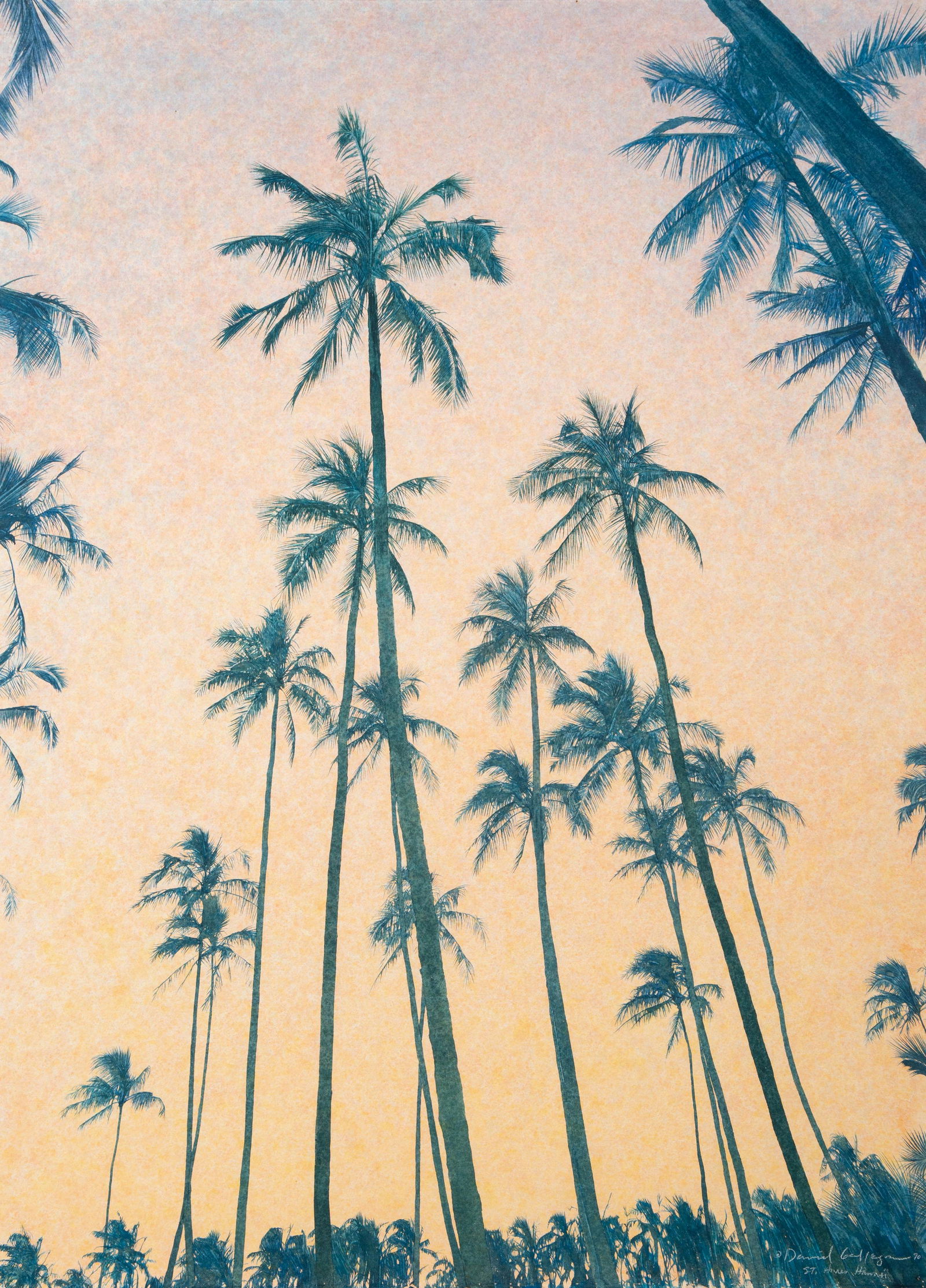 David Maes Gallegos  (American, b. 1954) St. Anne's Palms, 1990 (1 of 6)
