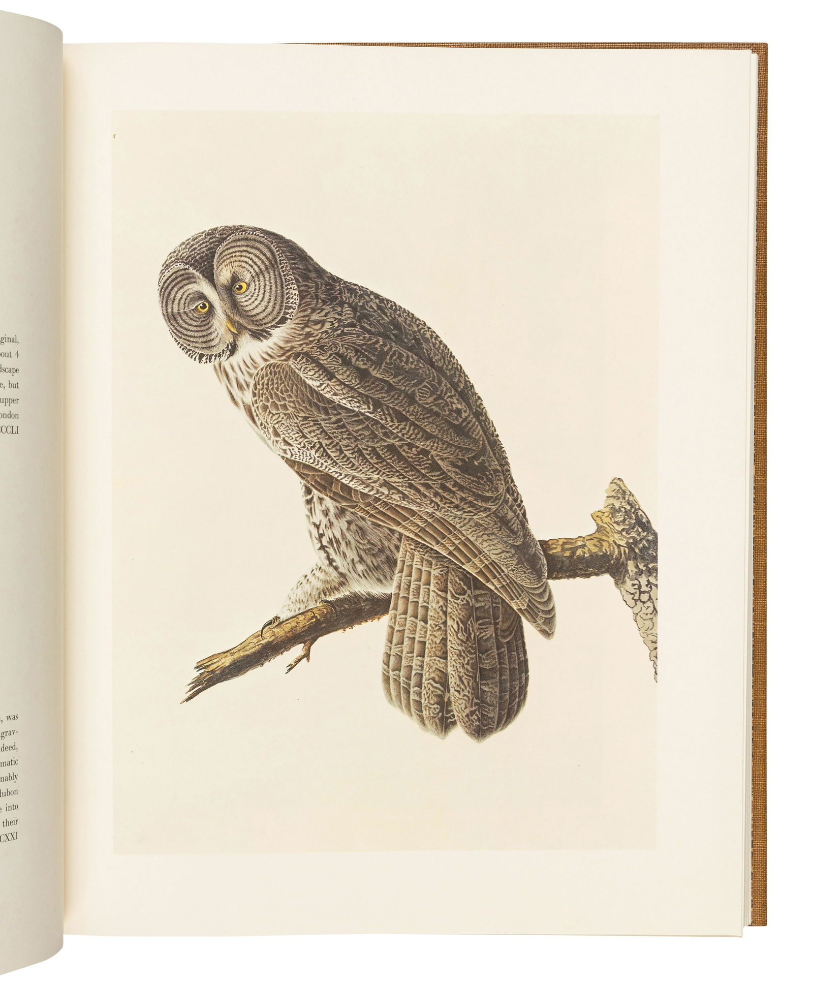 AUDUBON, John James. The Original Water-color Paintings... for The Birds of America. Marshall B. (1 of 3)