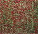 8: Alma Woodsey Thomas, (American, 1891-1978), Abstract