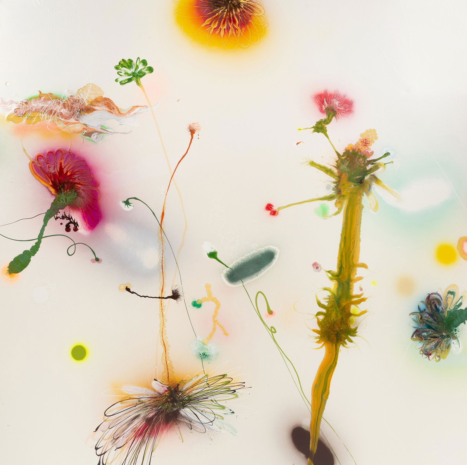 Thierry Feuz (Austrian/Swiss, b. 1968) Psychotropical phenomenon, 2003: Thierry Feuz (Austrian/Swiss, b. 1968) Psychotropical phenomenon, 2003 enamel on linen 55 x 55 inches. Provenance: Kaysha Hildebrand Gallery, New York, 2004