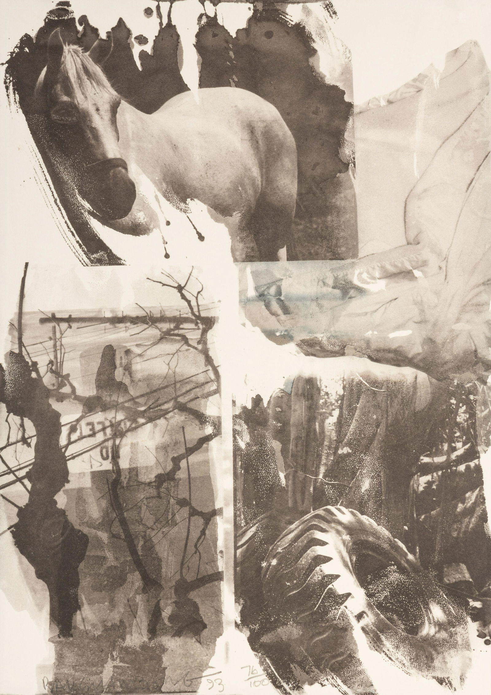 Robert Rauschenberg (American, 1925-2008) Horse Silk (from Night Sights), 1993 (1 of 4)