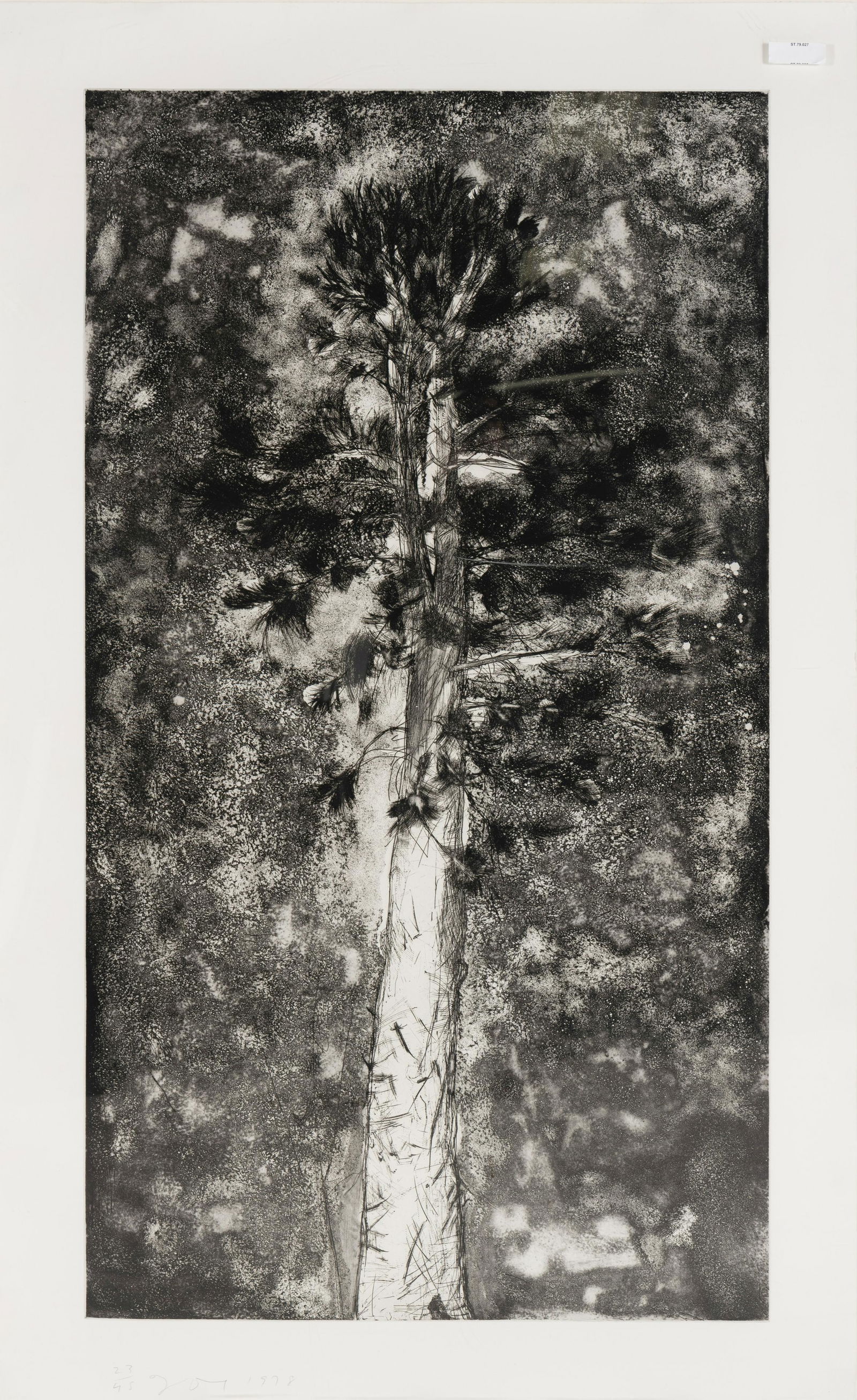 Jim Dine (American, b. 1935) The Pine in a Storm of Aquatint, 1978 (1 of 5)