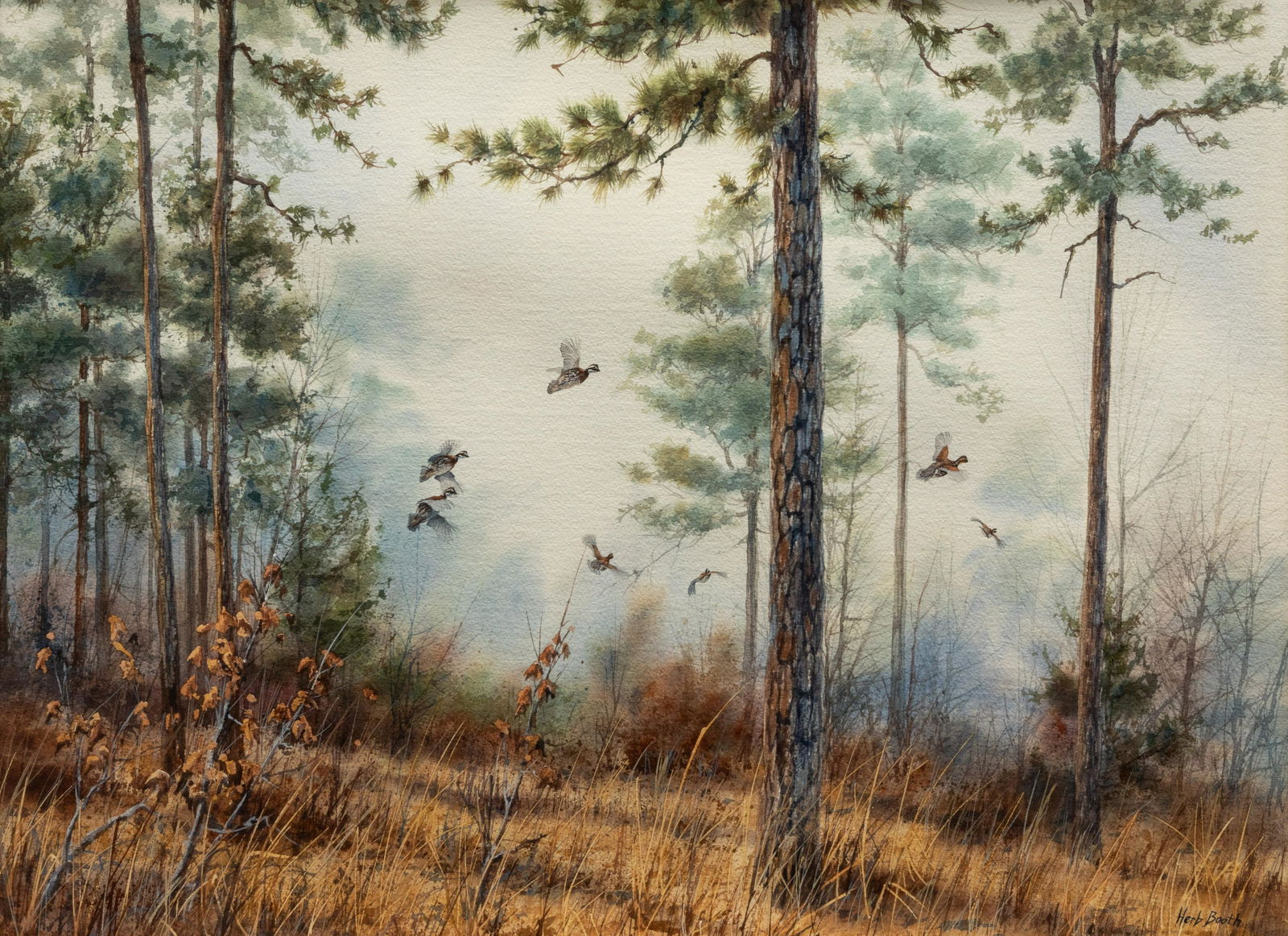Herb Booth (American, 1942-2014) Quail in Pine Forest (1 of 5)
