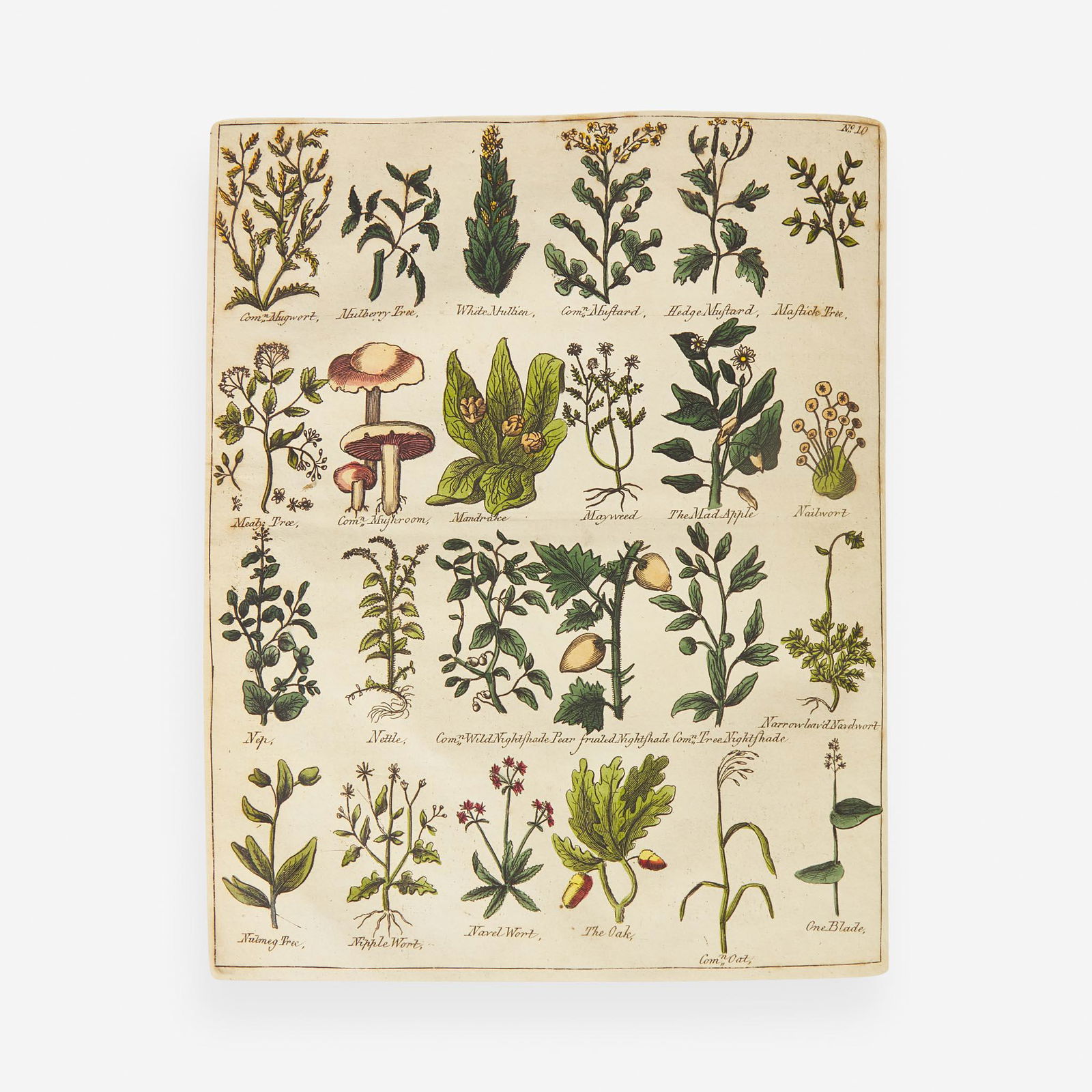 [Science, Medicine, & Mathematics] [Culpeper, Nicholas] Sibly, E(benezer). Culpeper's English (1 of 6)