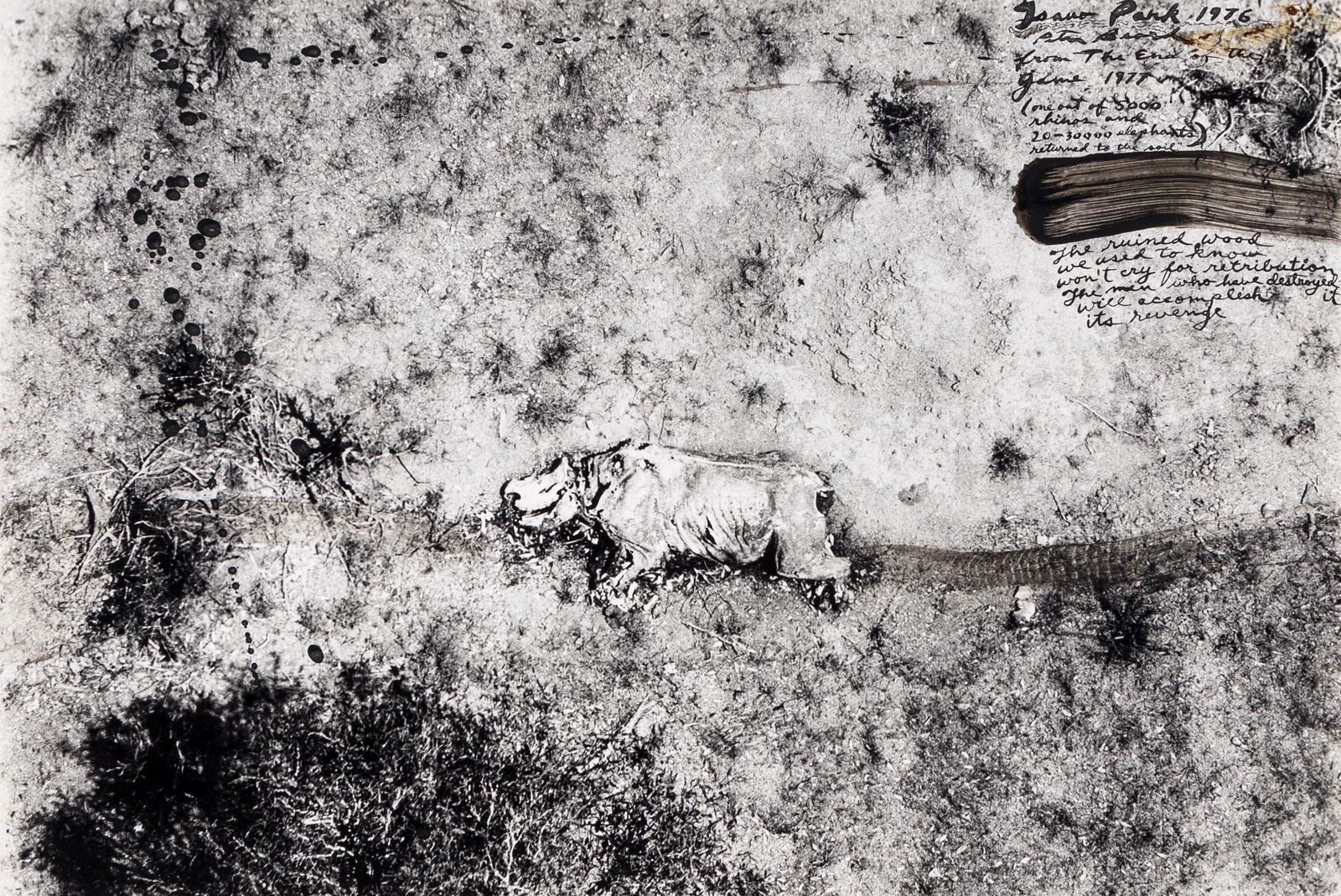 Peter Beard (1938-2020) Tsavo Park, from "The End of the Game," 1976-1977: Peter Beard (1938-2020) Tsavo Park, from "The End of the Game," 1976-1977 Unique gelatin silver print with blood handwork, signed, titled, dated and inscribed extensively in ink on the recto. image: 1