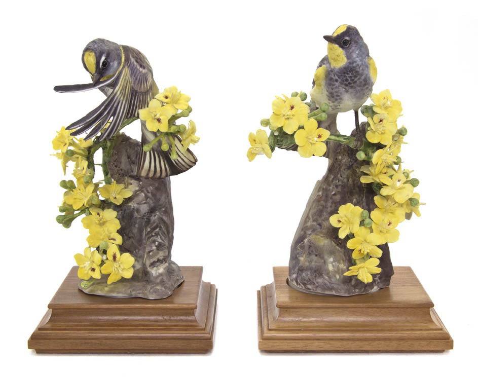 A Pair of Royal Worcester Dorothy Doughty Birds, : A Pair of Royal Worcester Dorothy Doughty Birds, Audubon Warblers, each perched on palo verdi. Height of taller 8 3/8 inches.