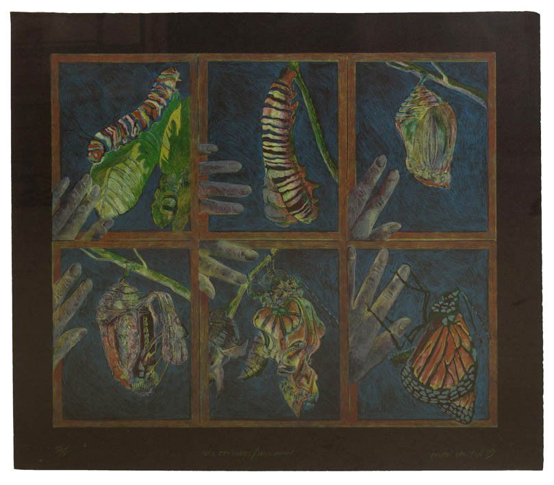 Ellen Lanyon, (American, b. 1926), Six Episodes/M: Ellen Lanyon (American, b. 1926) Six Episodes/Monarch, 1979 color lithograph edition 3/10, signed Ellen Lanyon, titled, and dated 18 x 21 1/2 inches.