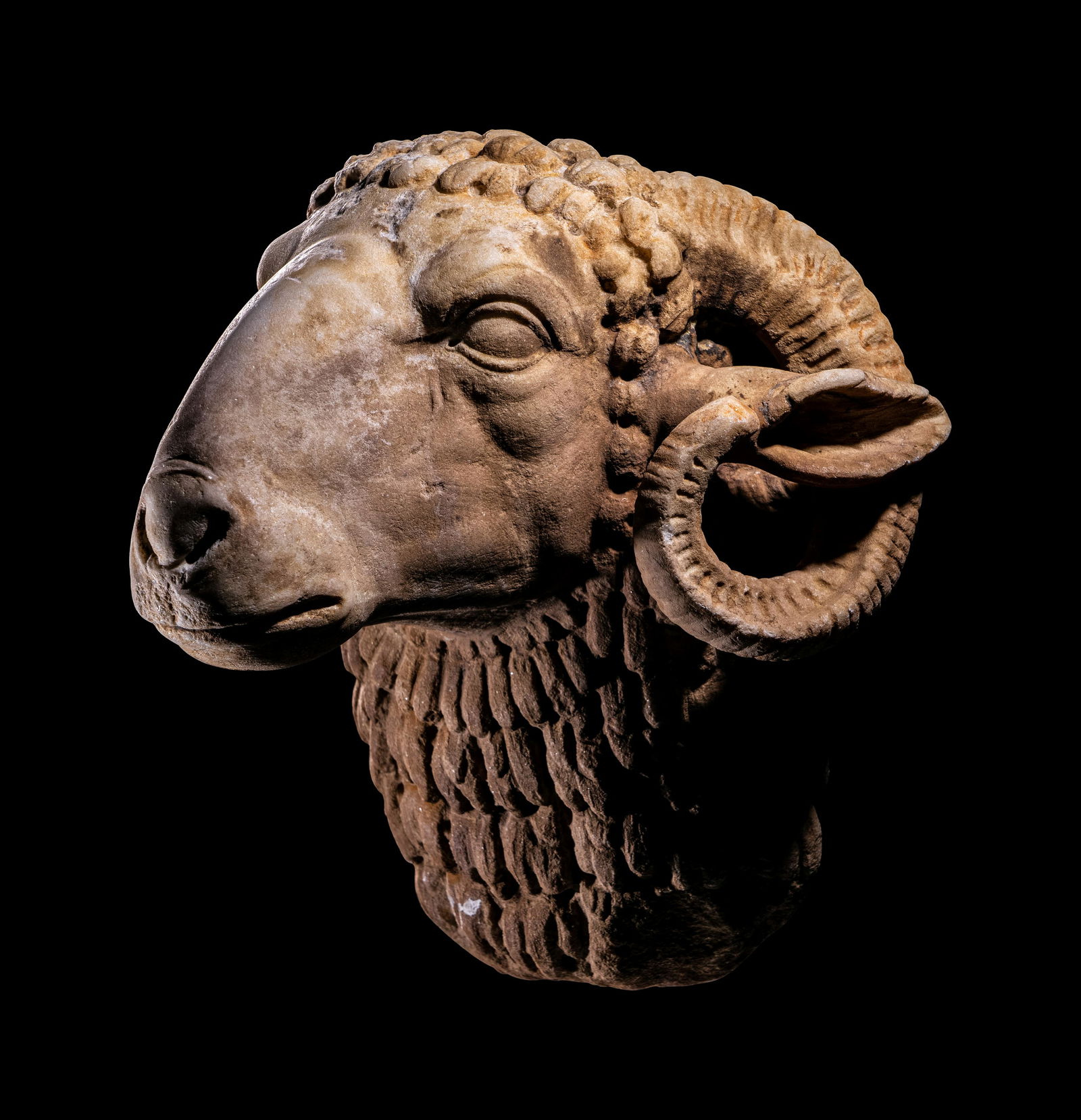 A Roman Marble Head of a Ram (1 of 5)