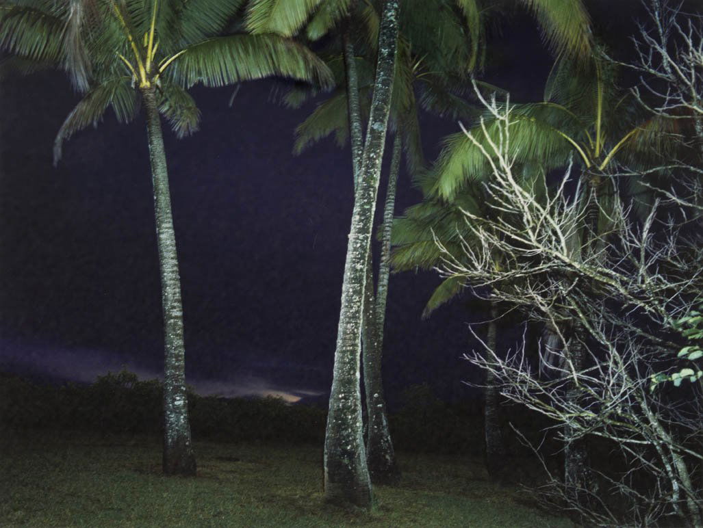 Richard Misrach, (American, b. 1949), Hawaii, 197: Richard Misrach (American, b. 1949) Hawaii, 1978 dye transfer print edition 29/50, signed Richard Misrach and dated (lower right) 14 x 17 1/2 inches.