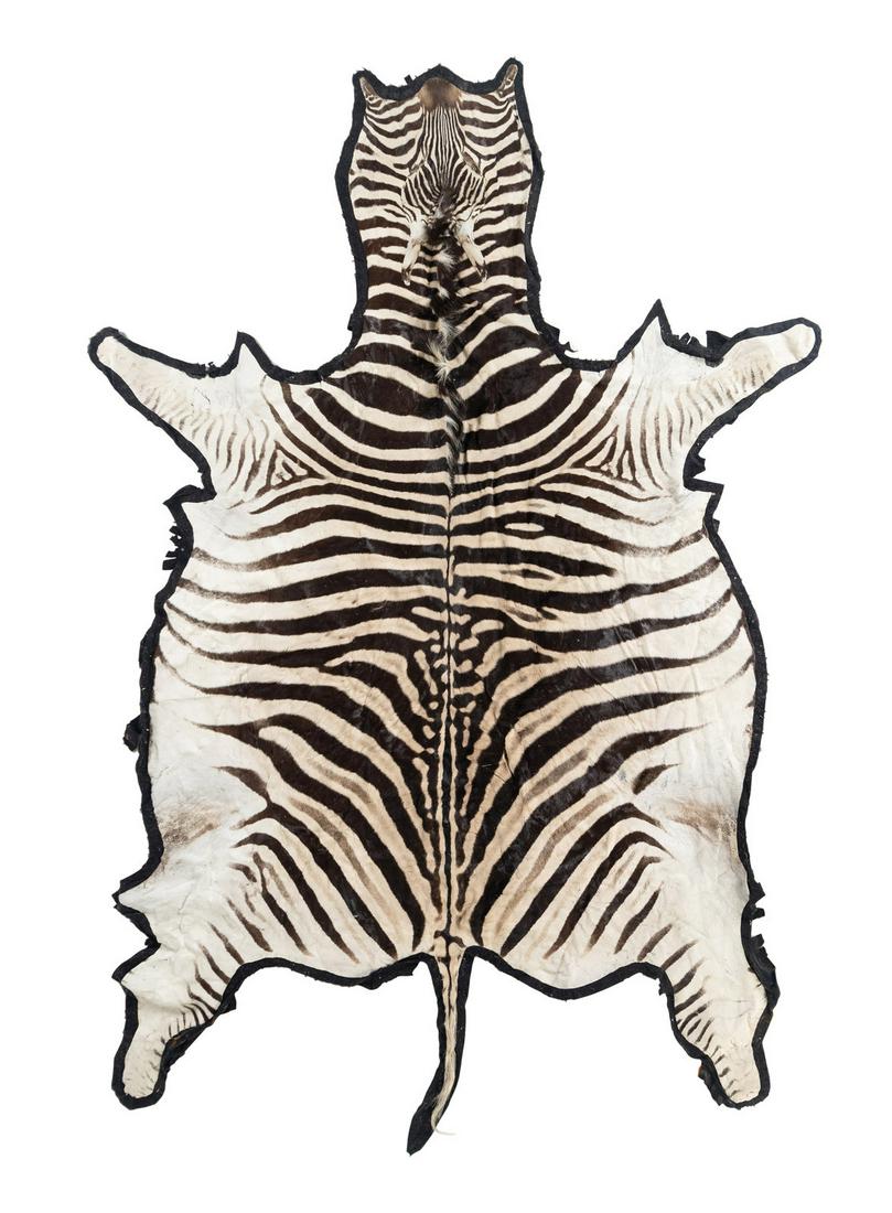 A Taxidermy Zebra Rug (1 of 2)