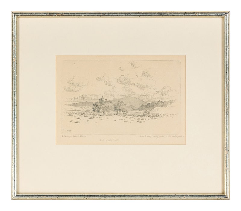 George Elbert Burr (American, 1859–1939) Palo Verde Trees: George Elbert Burr (American, 1859–1939) Palo Verde Trees etching signed, titled, and inscribed one proof only, and plate destroyed in pencil 5 x 8 inches. This lot is located i