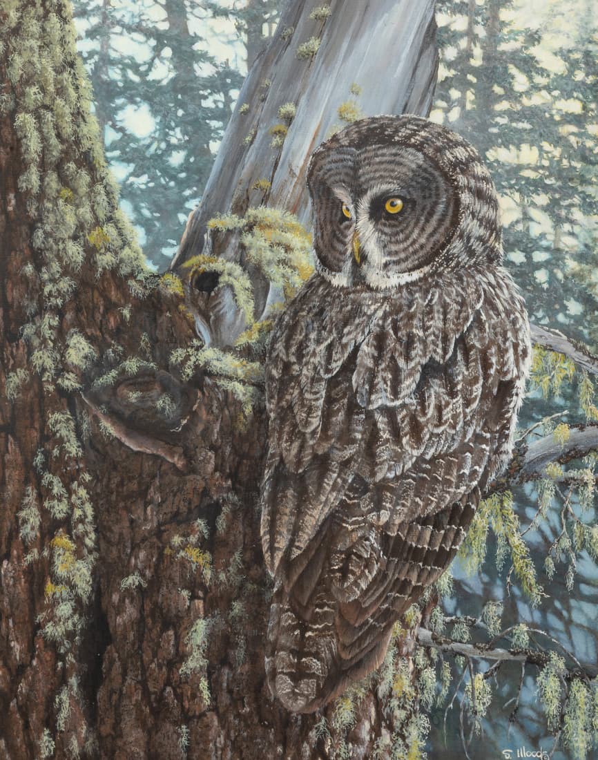 Sarah Woods (American, b. 1956) Forest Eyes, 1993 (1 of 5)