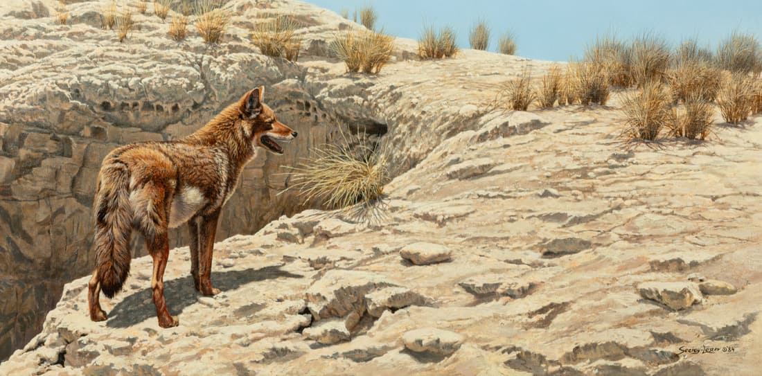 John Seerey-Lester (British/American, 1946-2020) Desert Scavenger - Coyote, 1984 (1 of 5)