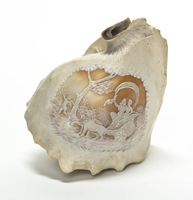 A Cameo Carved Conch Shell, Height 5 3/4 inches.: A Cameo Carved Conch Shell, depicting two figures in a lion drawn carriage following a putto. Height 5 3/4 inches. Property from the Estate of Helen and Joseph L. Breger, Highland Park, Illinois