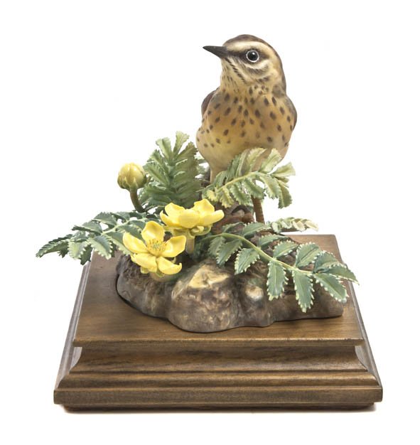 A Royal Worcester Dorothy Doughty Bird, Meadow Pi: A Royal Worcester Dorothy Doughty Bird, Meadow Pipit, perched on silverweed. Height 7 inches.