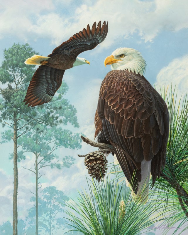 John Pitcher
(American, b. 1949)
Sky Life,1995 (1 of 5)