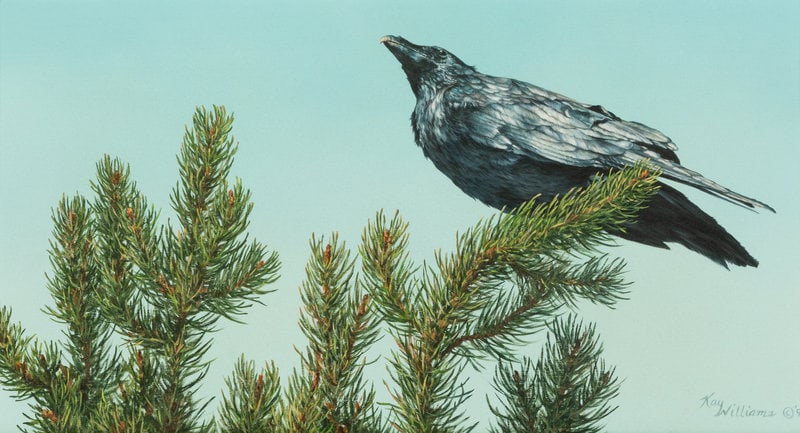 Kay Williams
(American, 20th Century)
The Raven, 1997 (1 of 5)