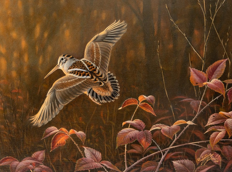 Wilhelm Goebel (American, b. 1960) Woodcock, 1998: Wilhelm Goebel (American, b. 1960) Woodcock, 1998 oil on canvas signed W Goebel and dated (lower right) 11 1/2 x 16 inches The Laumeister Collection from The Bennington Center for the A