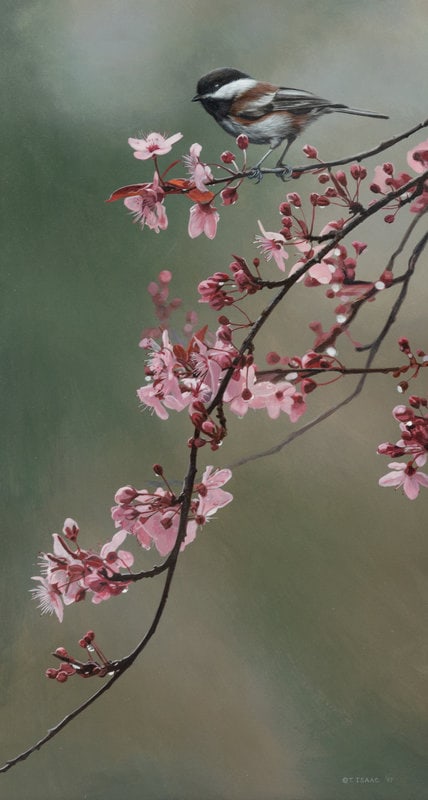Terry Isaac (American, 1958-2019) Spring Blossoms, 1997: Terry Isaac (American, 1958-2019) Spring Blossoms, 1997 acrylic on panel signed T Isaac and dated (lower right) 18 x 10 inches The Laumeister Collection from The Bennington Center for t