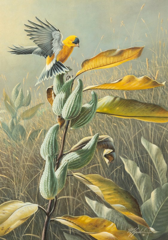 Wilhelm Goebel
(American, b. 1960)
Summer Gold (1 of 5)