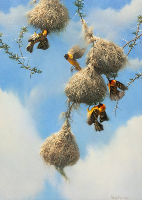 Nancy Howe
(American b. 1950)
Renovation, 2006 (1 of 5)