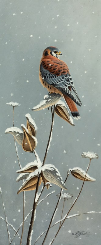 Wilhelm Goebel
(American, b. 1960)
Winter Kestrel, 1997 (1 of 5)