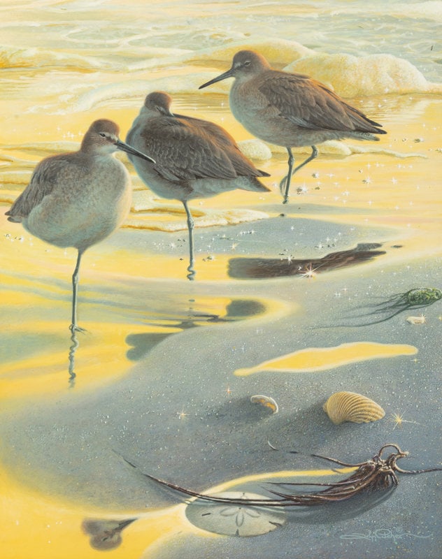 John Pitcher
(American, b. 1949)
Willet Watch, 1999 (1 of 5)