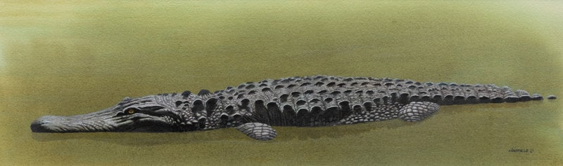 Ron Holyfield (American, b. 1937) Ooze Plus Few Million Years: Ron Holyfield (American, b. 1937) Ooze Plus Few Million Years watercolor signed Holyfield (lower right) 9 x 28 inches The Laumeister Collection from The Bennington Center for the Arts,