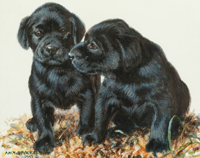 Amy Brackenbury
(American, b. 1953)
Pals, 1993 (1 of 5)