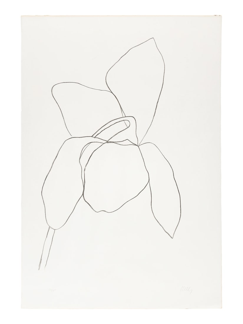 Ellsworth Kelly (American, 1923-2015) Cyclamen I  (from Suite of Plant Lithographs), 1964-1965 (1 of 6)