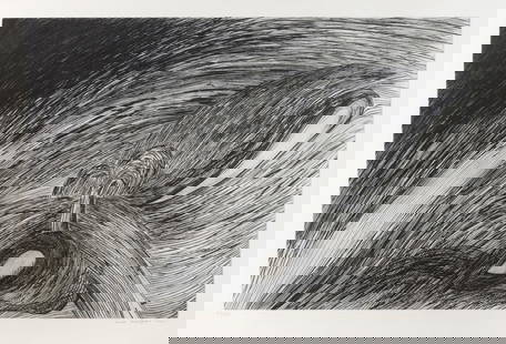 Louise Bourgeois (American/French, 1911-2010) Storm at Saint Honore, 1994: Louise Bourgeois (American/French, 1911-2010) Storm at Saint Honoré, 1994 engraving and drypoint signed, dated, and numbered 71/100 in pencil 20 3/4 x 32 1/2 inches. Property from the Collection